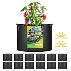 Black-12pack With Labels