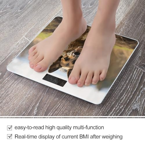 Báscula Digital Precisa para Baño hasta 180 kg miniatura 5
