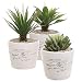 4 inch Rustic White Ceramic French Parisian Postcard Tabletop Succulent / Herb Planter Pots (Set of 3)
