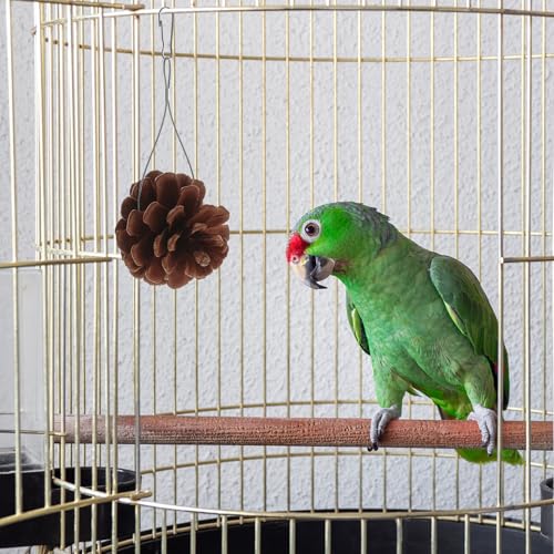 FRCOLOR 10���p ���ނ������� ���ڂ�����^ �u���b�N�C���R �Z�L�Z�C�C���R �I�E���Ή� �ϋv���f�� �g�p �Ԃ牺���� �������� ���� �݌v