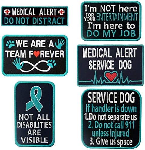 Service Dog In Training Working No Touch PTSD Do Not Distract - Foto 12