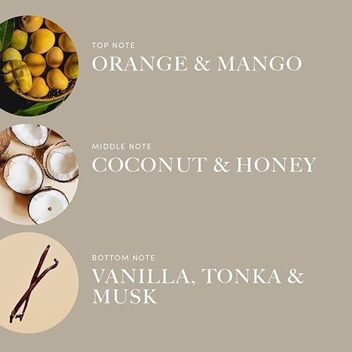 Miniatura 168 de Aroma360 Dream On - Mezcla de aceites aromáticos – 16.9 fl oz – Aceite difusor de aromaterapia perfumado con té blanco sereno, aloe vera curativo