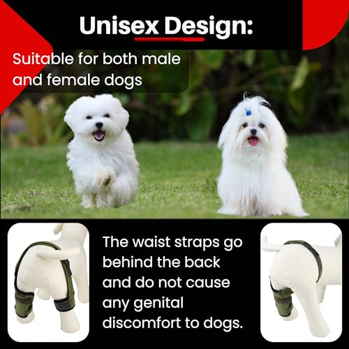 Image of Dog Knee Brace for Male /Female Dogs - Neoprene Support Dog Leg Braces for Back Leg with Adjustable Straps and Belt - Torn ACL Hind Leg, Ligament Injury, Joint Pain and Stability (Medium, Right)