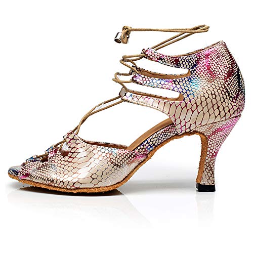 Chaussures de Danse Latine sans Douleur HROYL Souples pour Salsa et Pratique Prolongée de Tango