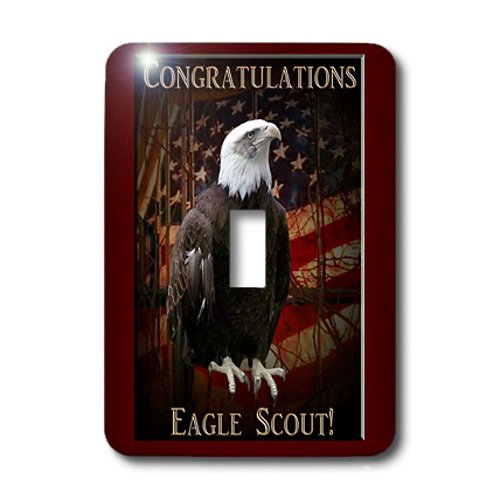 Interrupteur Eagle Scout 3dRose pour sublimer la décoration d'un bureau