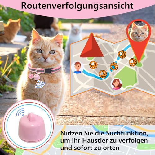 Katze GPS Tracker Hund Kompatibel mit iOS & Android, Weltweite Standortverfolgung, Katzen Halsband GPS Trackers Ohne ABO, Mini Pet Tracker für Katzentracker Katzentracking Peilsenders (Rosa)