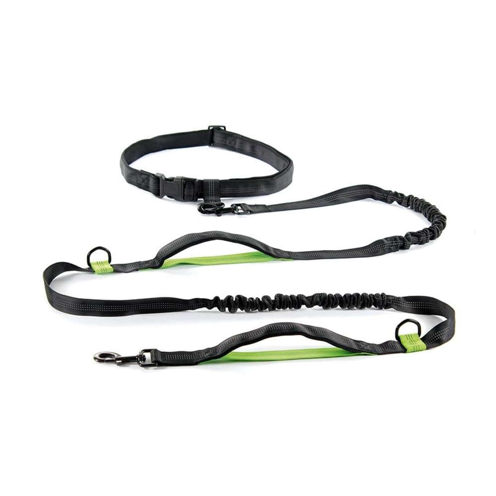 Record - Guinzaglio per Cani Jogging – Guinzaglio Estensibile – Realizzato in Nylon – Con Estensore Elastico Anti-Strattoni - Lunghezza 215-270 cm – Colore Nero e Verde