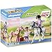 Produktbild PLAYMOBIL Country 71259 Starter Pack Pferdepflege mit viel Zubehör, ab 4 Jahren