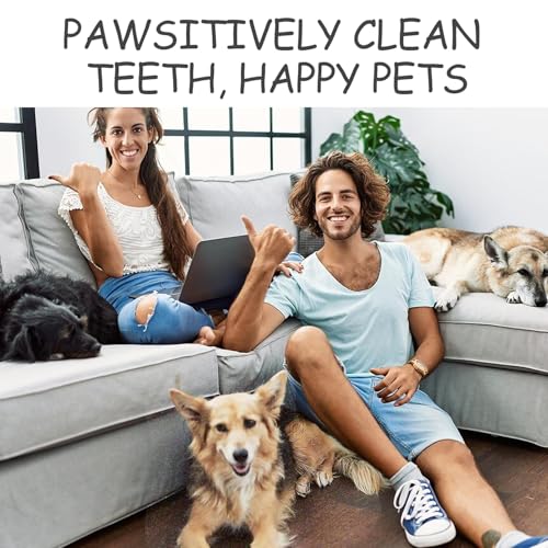 Image of Three-Sided Dog Toothbrush, Great Toothbrush for Large and Medium Dogs, Dog Tooth Brushing Kit for Cleaning Your Dog's Teeth, for Daily Care of Your Dog's Mouth. Purple, 8 Pcs L
