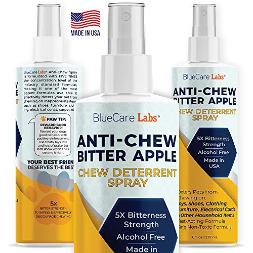 Best Dog Deterrent Sprays