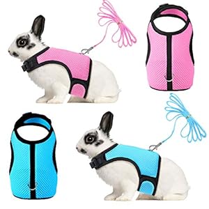 SATINIOR 2 Pieces Bunny Rabbit Harness with Leash Cute Adjustable Buckle Breathable Mesh Vest for Kitten Puppy Small Pets Animal Walking Accessories
