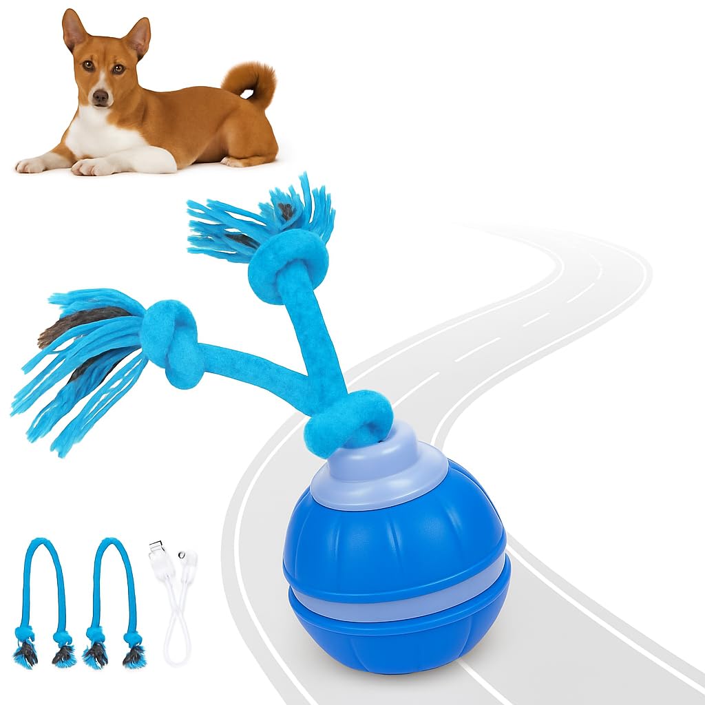 Interactive Dog Toy Motion-Activated Automatic Rolling USB Rechargeable Smart Dog Ball with Teaser Rope Squeaky Sound for Small