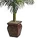 Nearly Natural 4.5ft. Golden Cane Palm with Decorative Container