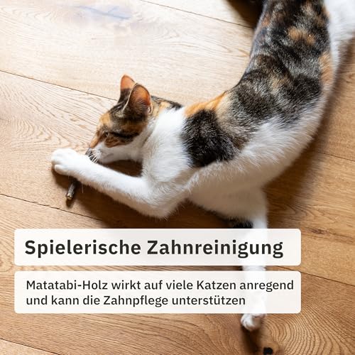 Inovida Matatabi Stick Katze : 8 Matatabi Sticks für Katzen Zahnpflege – Katzenspielzeug Holz gegen Mundgeruch – Natürliches Katzenminze Spielzeug für Katzen – Cat Sticks