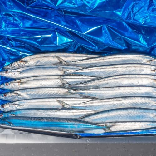 新物さんま 三陸～北海道水揚げ サンマ 秋刀魚 4kg（26～33尾程度） 【仙台市中央卸売市場 買参人登録】 (４キロ)のサムネイル