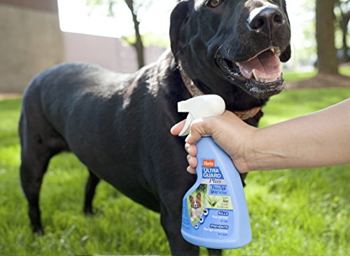 Hartz UltraGuard Flea & Tick Dog Spray, 032700106232 - Image 5