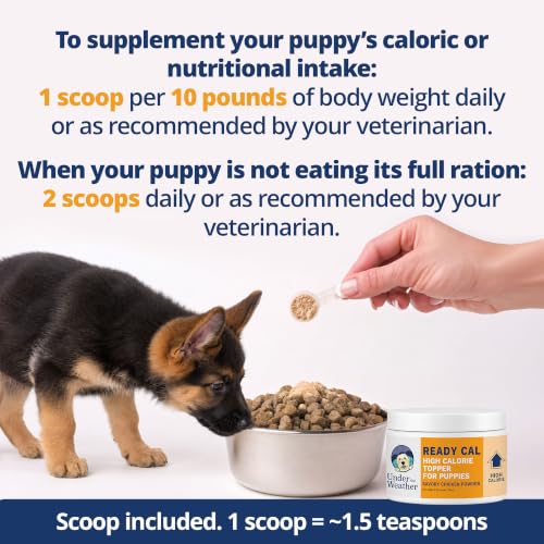 Image of Under The Weather Ready Cal High Calorie Powder for Puppies | Puppy Supplement & Weight Gainer | Appetite Support with Vitamins & Minerals | Veterinarian Formulated | Chicken Flavor