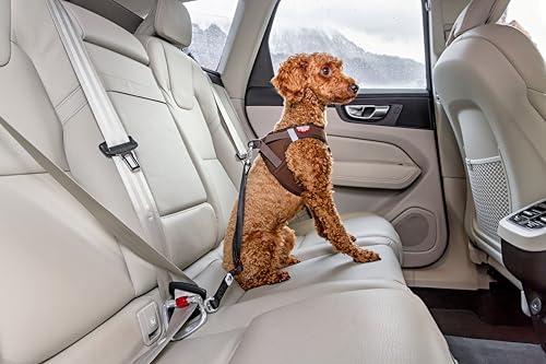 Car Safety Belt V2 S