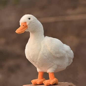 Amazon.co.jp: lilizzhoumax アヒルのぬいぐるみ、リアルな