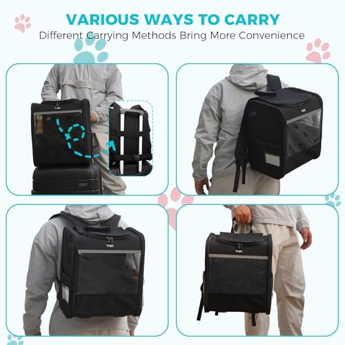 Dogat Katzenrucksack Faltbar, Katzen Rucksack mit Front Opening-Mesh Fenstertaschen, Katzen Transport Rucksack mit Innerer Sicherheitsleine für Katzen Hunde bis 8kg Wandern, Walken (Schwarz)