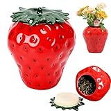 Strawberry Shaped Jar with Lid, Strawberry Shaped Canister, Ceramic Strawberry Cookie Jar, Kitchen Spices Storage Porcelain Jar Candy Can for Tea Coffee Spices Nuts Sugar Sugar Vintage Decor(Red)
