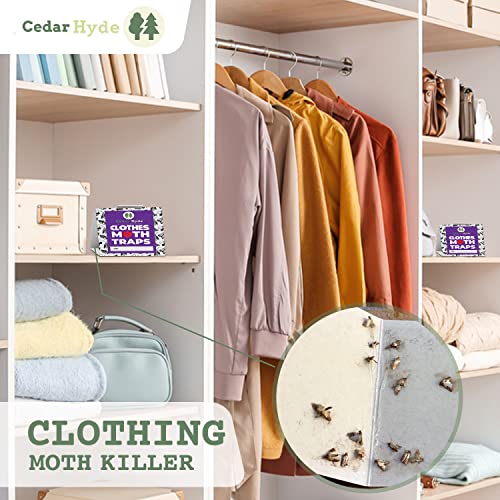 Closet Clothes Moth Traps 8 Pack With Extra Strong Pheromones, Case Bearing Webbing Moth 8, Non-Toxic & Long Lasting, U.s.a Seller #TOP4