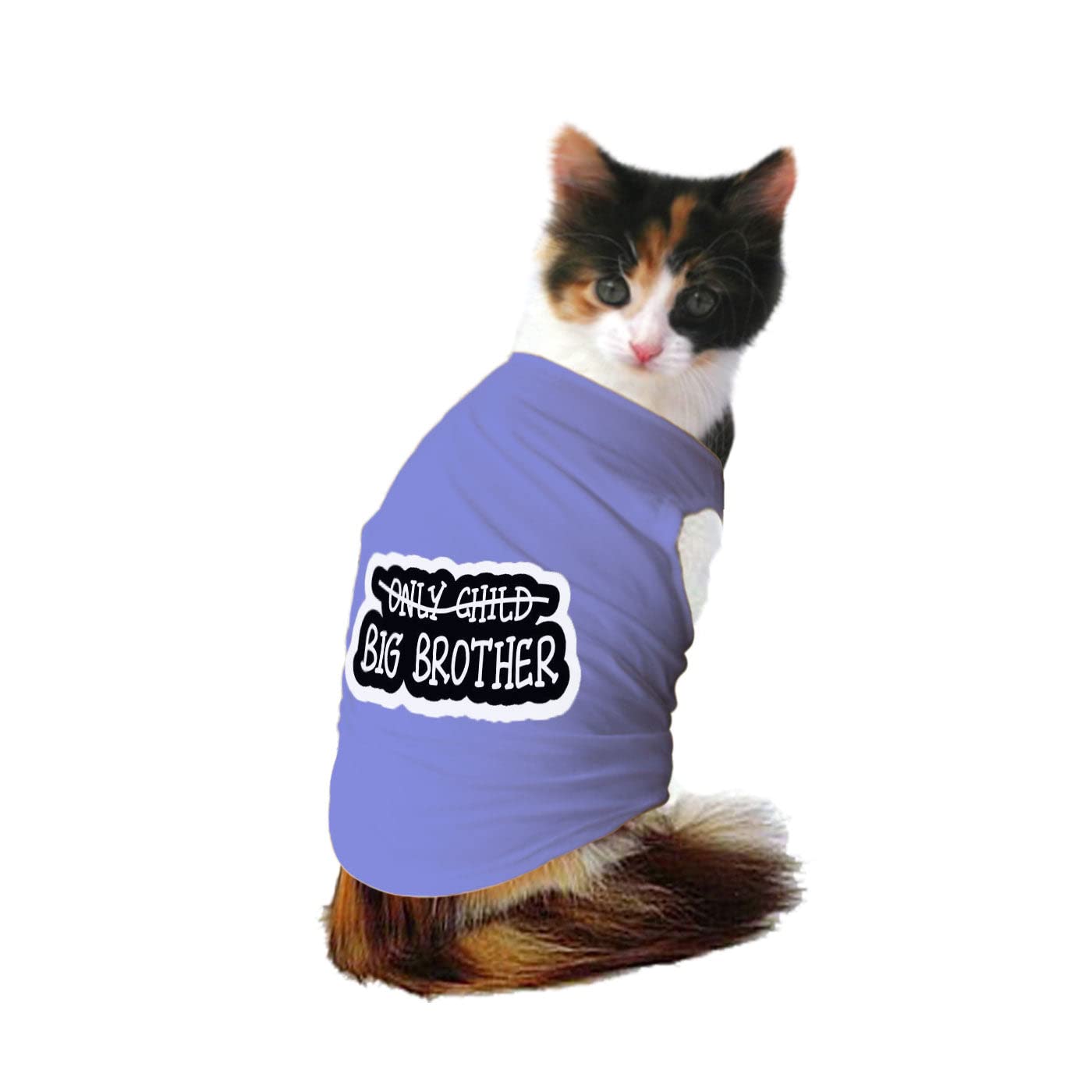 Ruse Pet Big Brother Printed Cat Round Neck Sleeveless Vest Tank T-Shirt/Tees Apparel/Clothes/Tees Gift for Cats(Lavender/M) (B09ZJ7T1P9) Amazon Price History, Amazon Price Tracker