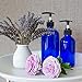 Youngever 6 Pack Empty Glass Pump Bottles, 2 Pack 16 Ounce and 4 Pack 8 Ounce Pump Bottles, Soap Dispenser, Refillable Containers (Blue)
