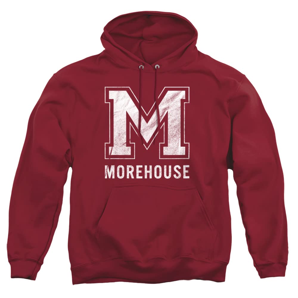 LOGOVISION Official Collegiate Distressed Primary Logo Adult Pullover Hoodie Collection — view 324