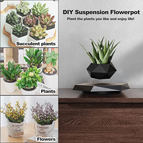 Cicorfu-Floating-Flower-Pots-Magnetic-Floating-Plant-Levitating-Plant-for-Indoor-Plants-Office-Home-Room-Decoration-Black