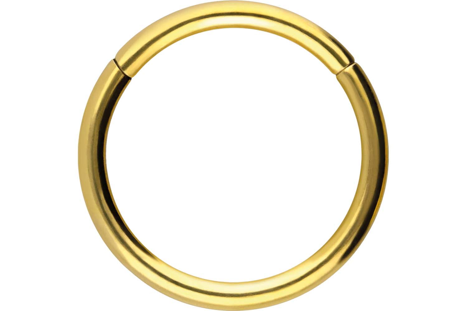 PIERCINGLINE Anillo segmento Clicker de acero quirúrgico – Piercing en oro, plata, rosa, negro o azul – para nariz, tabique, oreja, hélice o tragus — view 132