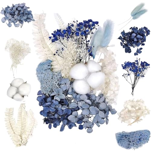 GIFANEO Ensembles de Fleurs Séchées Natu relles,Bricolage Fle urs Séc hées Ensemble Feuilles Naturelles Pressées à Sec,Fleurs pressées,Se chees Natur Elles pour L'artisanat d'art de