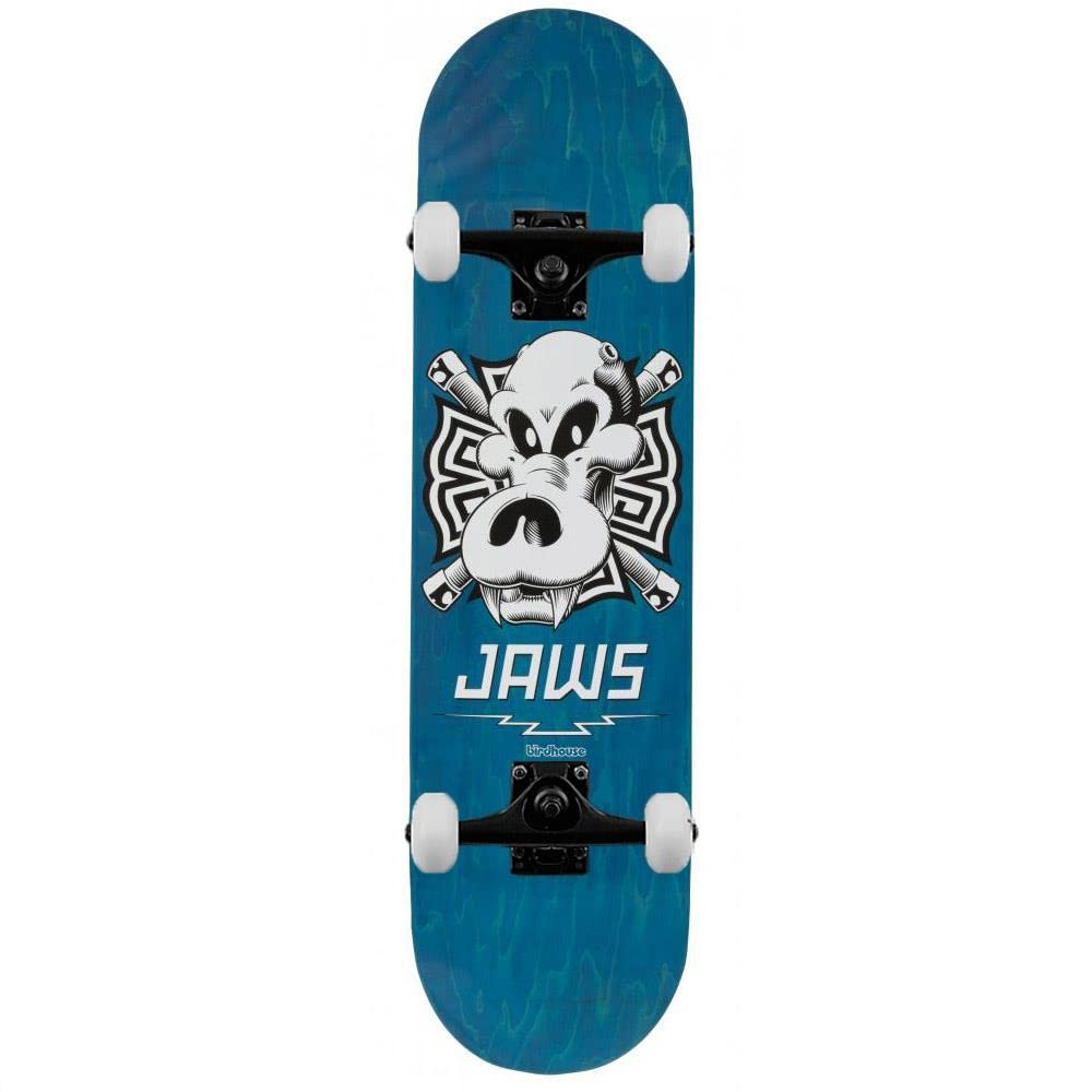 Birdhouse Pro Jaws Skull - Skateboard completo, 21 cm, colore: Blu