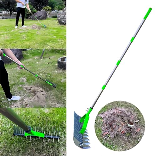 Râteau de sol de jardinage robuste pour fertiliser et aérer le gazon