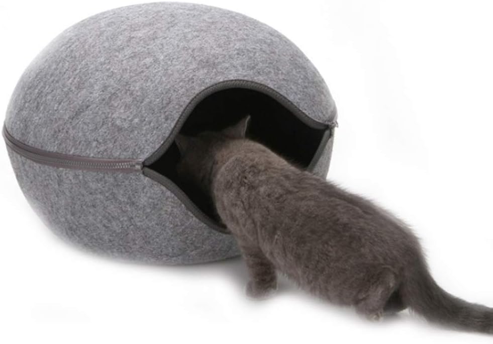 casa per gatti riscaldata all'aperto