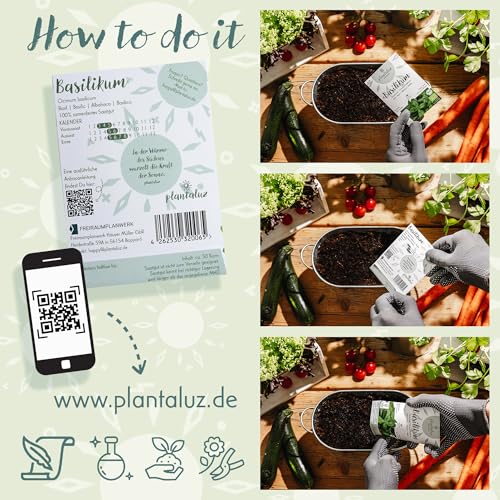 Plantaluz Bio Heilkräuter & Küchenkräuter Samen Set – 10 Sorten Kräuter Saatgut für Outdoor & Indoor – Inkl. handgeprägter Holz-Pflanzstäbchen – Kräutergewächsset & Hausapotheke – Samenfeste Qualität