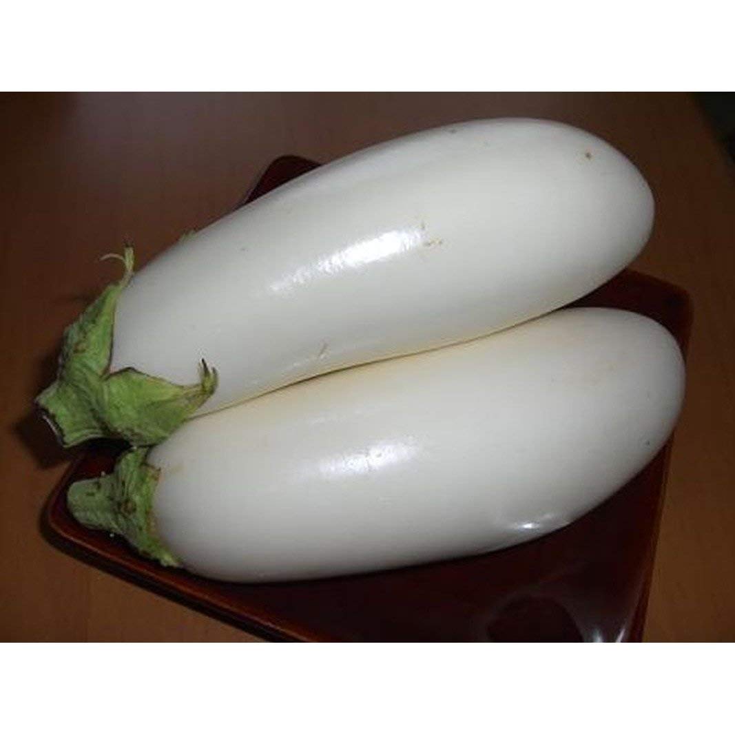 10 Seeds Casper Eggplant Seeds - Ivory-white Skin-mushroom-like Flavor! Very Productive!!