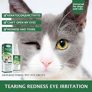 Dog eye drops cat  dog eye wash drops remove eye tear marks dirt for dogs  cat gentle eye drops for dogs and cats soothe irritated eyes remove eye discharge dirt and tear stains   cucciolini doodles