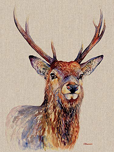 Jane Bannon (Proudlock 30 x 40cm Canvas