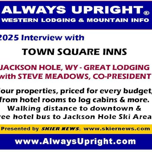 『Town Square Inns - Steve Meadows 2025』のカバーアート