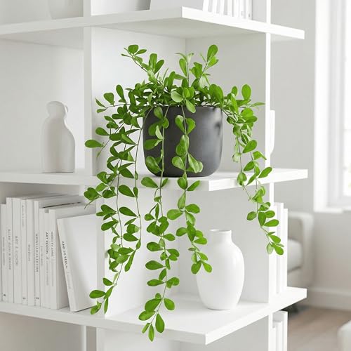 Image of Dekorly 2 Pack Artificial Plants Artificial Hanging Plants Faux Eucalyptus Leaf Greenery Fake Hanging Eucalyptus Plant (Green) (1, Green)
