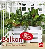  Balkon: Das Grüner-Daumen-Konzept