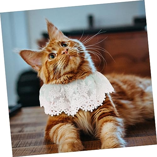 Collar de encaje para gatos DOITOOL con perlas de acabado premium 6