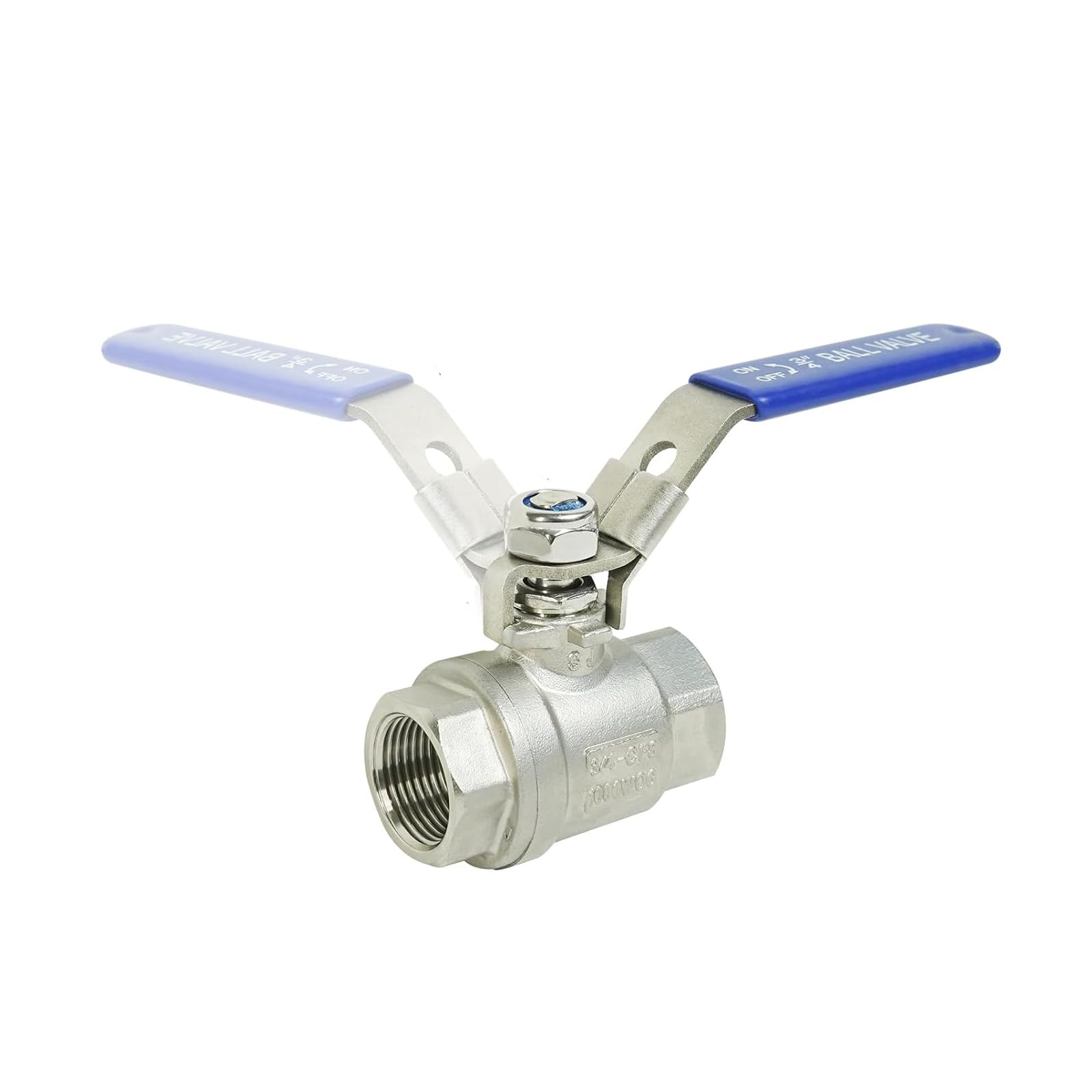 Robinet à boisseau sphérique en acier inoxydable femelle 1,9 cm