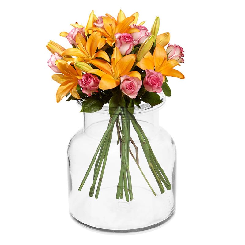 Pure Source India Glass Flower Vase and Reed Diffuser Pot for Home Decor, Gifting Item, Living Room (6.25 Inch) (Clear) (Round)