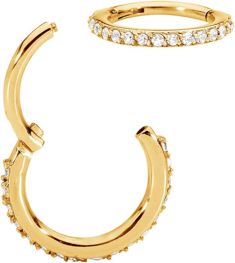 365 SLEEPERS316L Surgical Steel Unisex 16G Gem Hinged Segment Ring Helix Tragus Septum Nose Hoop Earring Body Piercing Jewellery 7mm - 14mm