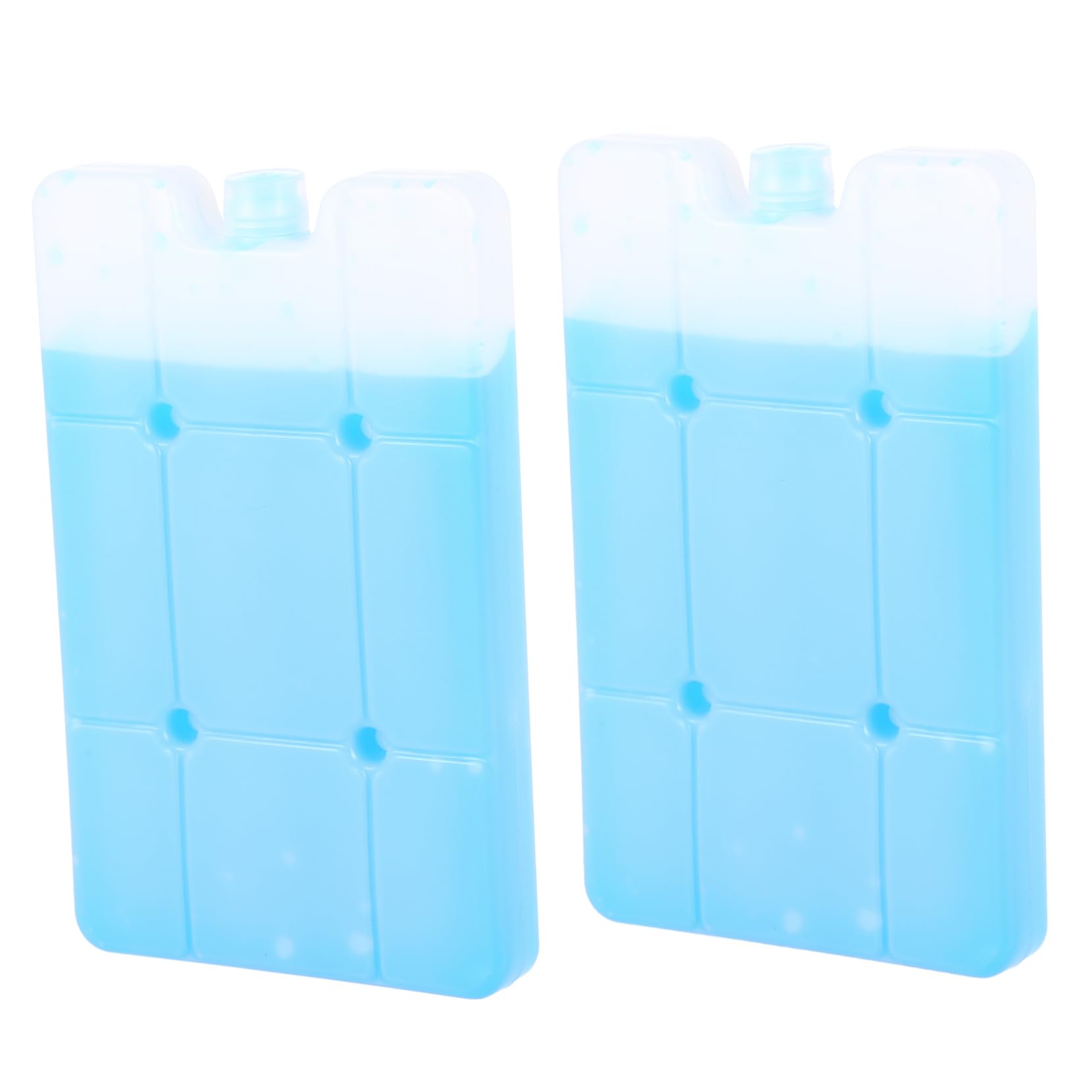 Amosfun 6 Pz Scatola Frigo Frigorifero Portatile Contenitori Per La Conservazione Degli Alimenti Contenitore Del Ghiaccio Refrigeratore Per Alimenti Borsa Del Ghiaccio Portatile Hdpe Blue