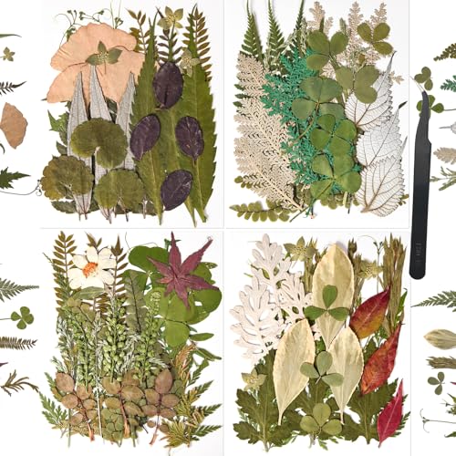 nisetten 110+PCS Pressed Flowers for Resin Molds, Colorful-H