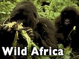 Wild Africa