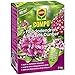 Produktbild COMPO Rhododendron Langzeit-Dünger, 2 kg, Sie erhalten 1 Packung